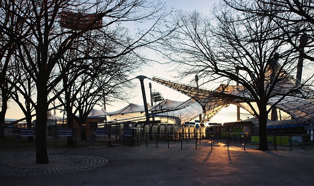 林根对位的 林根对位的