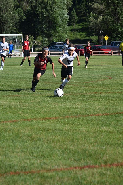 的助教履历 的助教履历