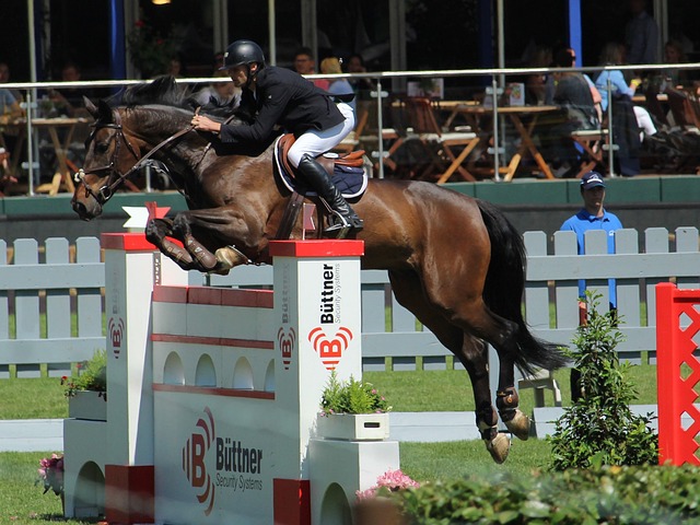 刷新队伍文 刷新队伍文