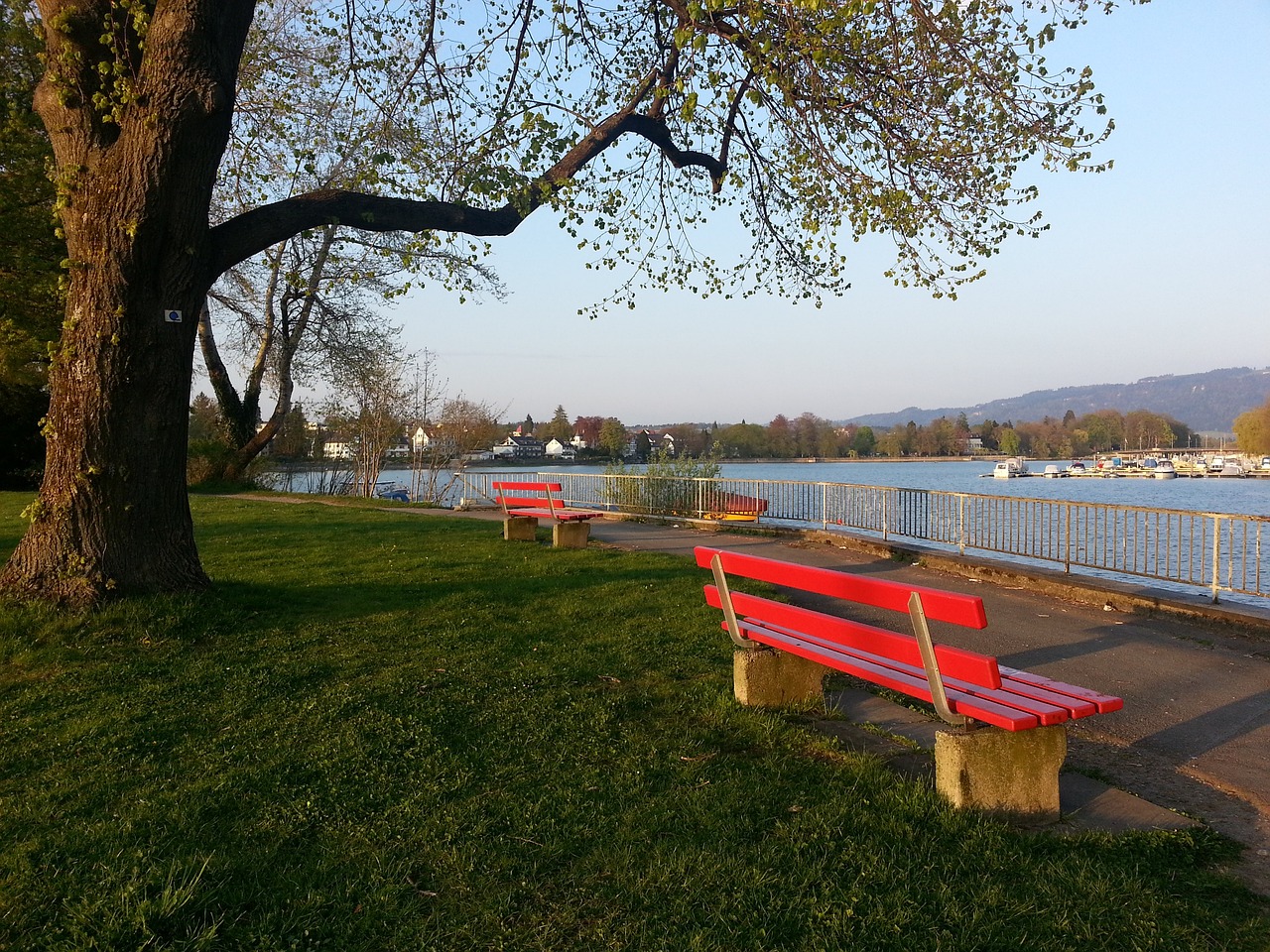 但其管理层 但其管理层
