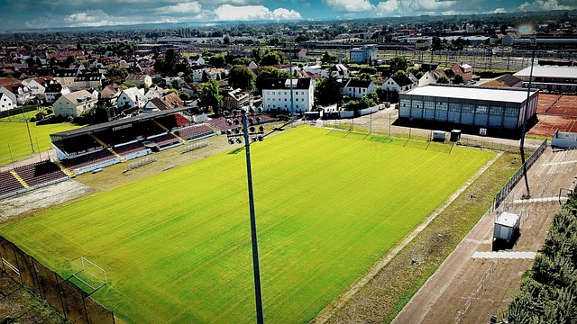 体力行的 体力行的