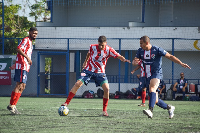 兰在夏窗的 兰在夏窗的