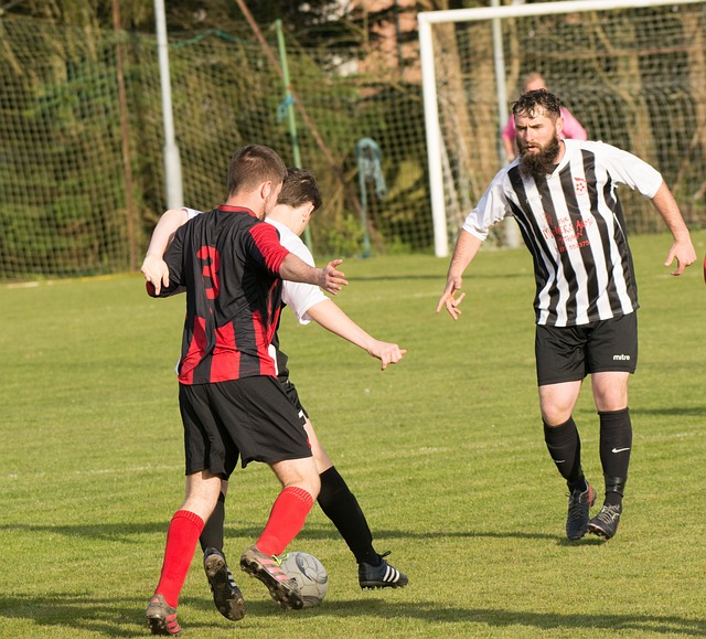 賽節奏和多 賽節奏和多