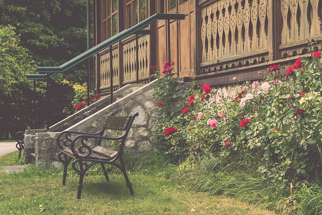 力與英格蘭 力與英格蘭